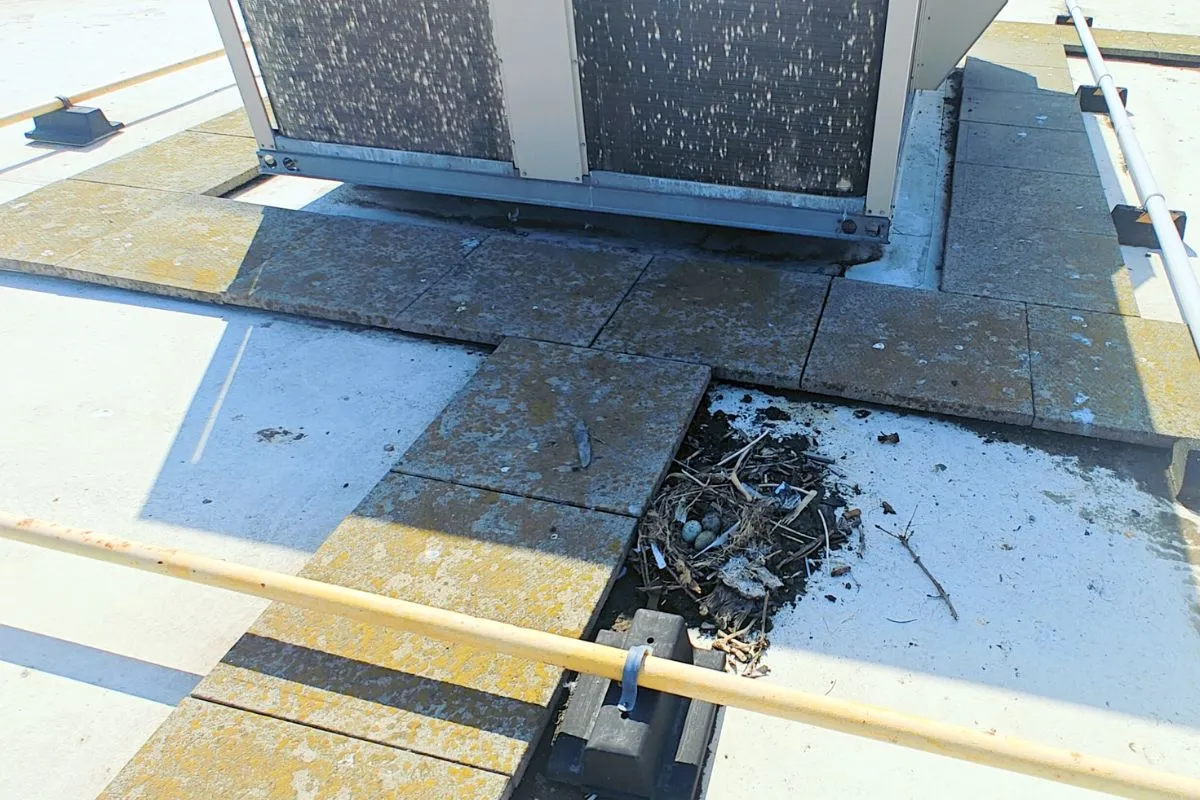 Structural Roof Damage Assessment commercial roof planning