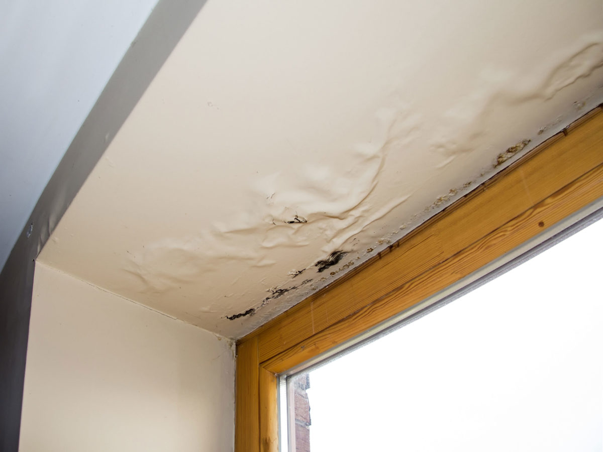 Humidity Damage Roof Repair commercial roof planning